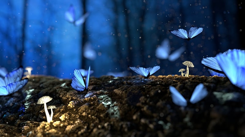 Enchanted Lighting